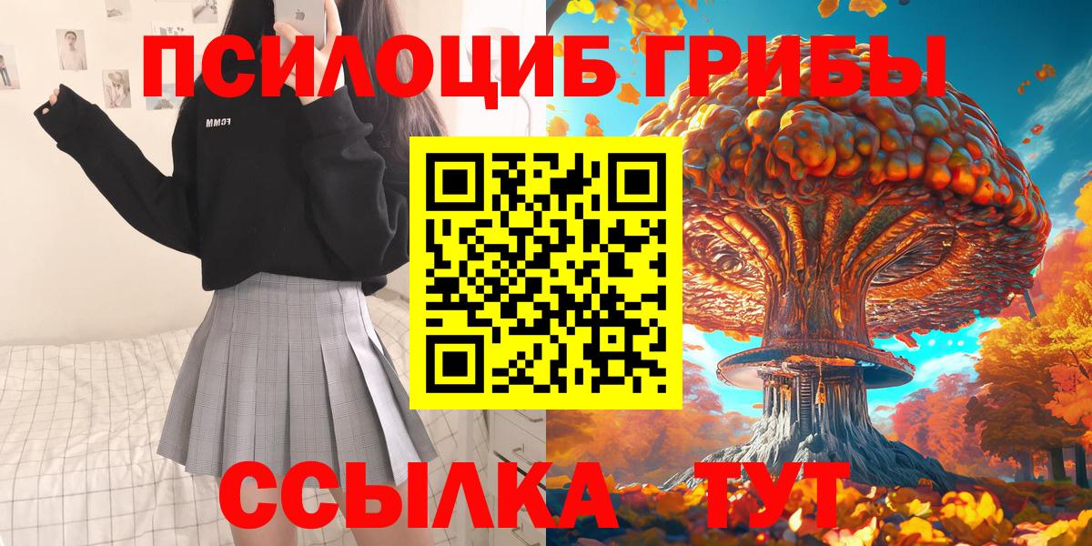 Псилоцибиновые грибы Psilocybine cubensis Нефтекумск