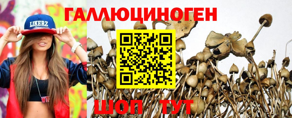 Нефтекумск  Галлюциногенные грибы прущие грибы  Вход с VPN 