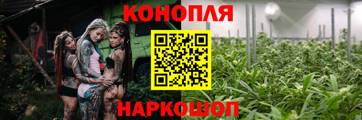 Каннабис планчик  Марихуана ГИДРОПОН  Вход с VPN  Нефтекумск 